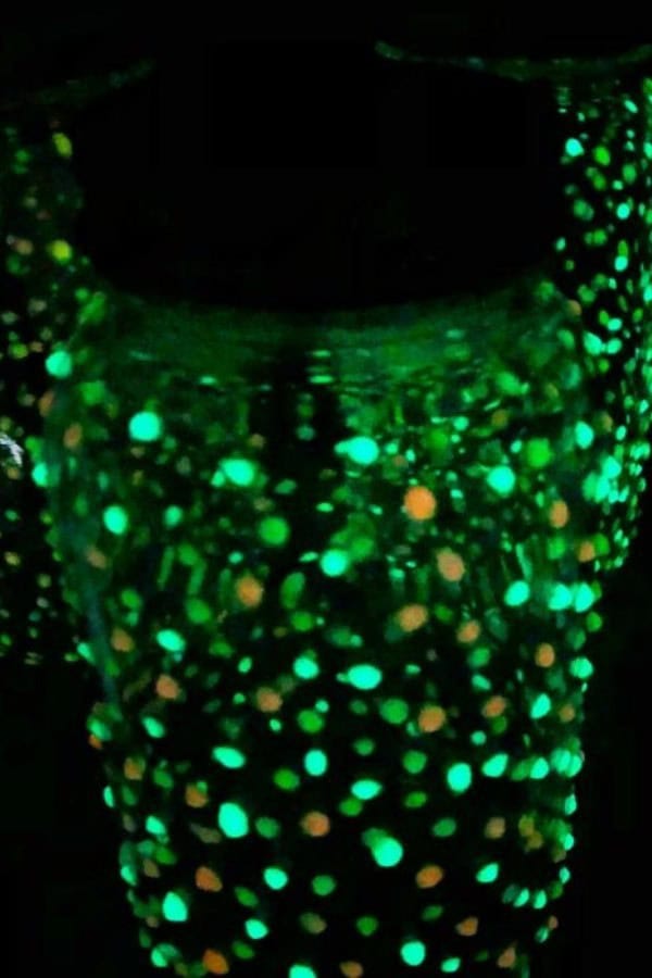 FIREFLY GLOW JARS