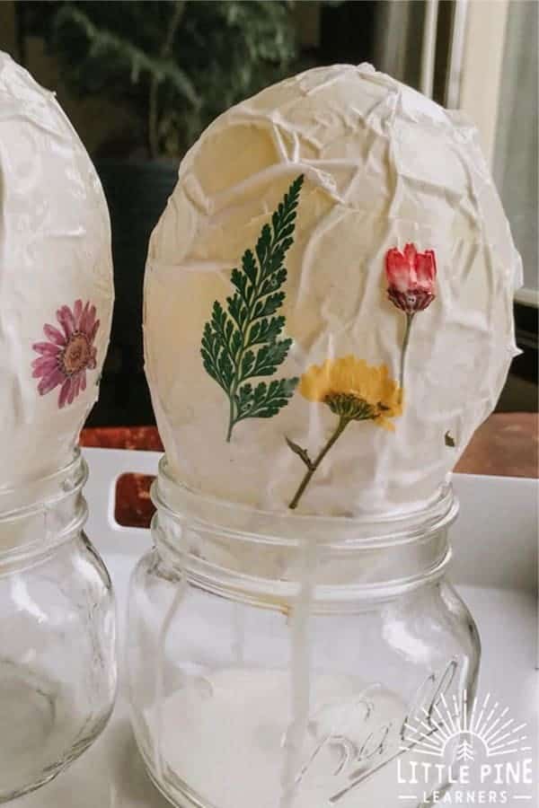 Magical Pressed Flower Lanterns