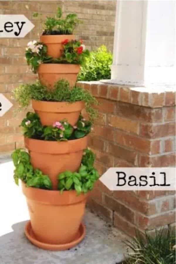 DIY Outdoor Basil Planter