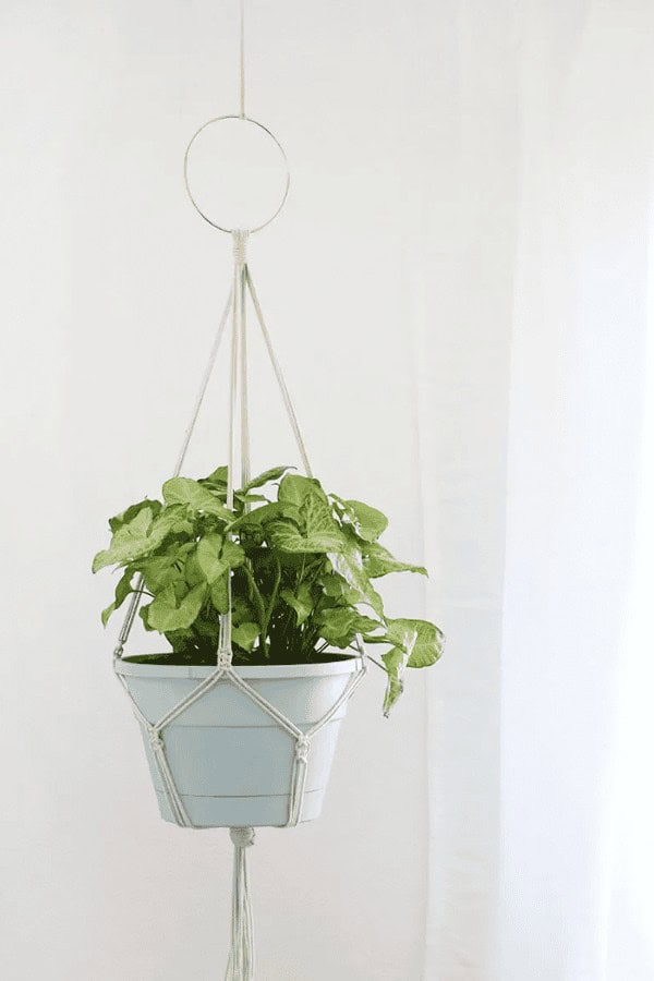 Macrame Plant Hanger