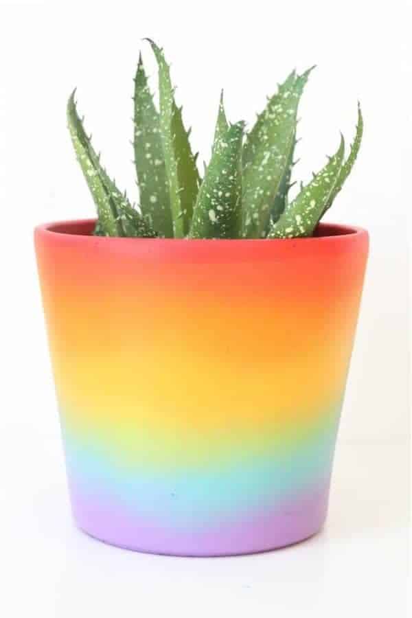 Ombre Rainbow Painted Pot