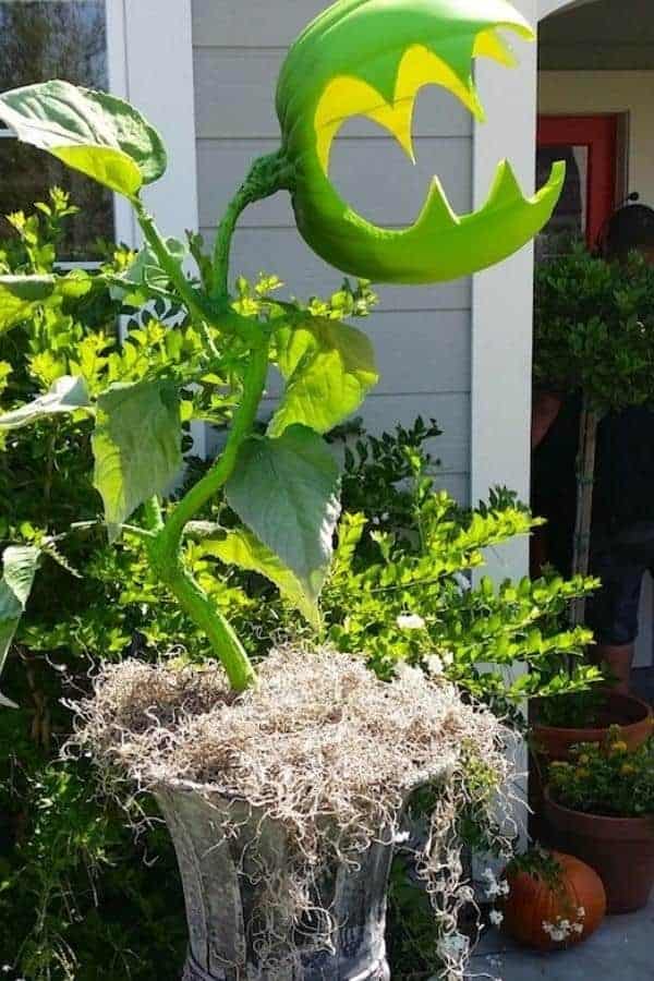 MAN-EATING MONSTER PLANT