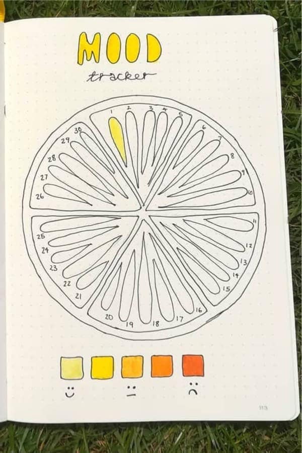 Citrus Themed Mood Tracker