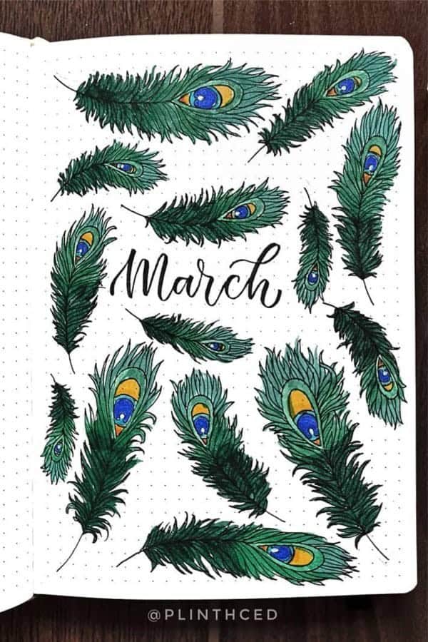 Peacock Monthly Cover