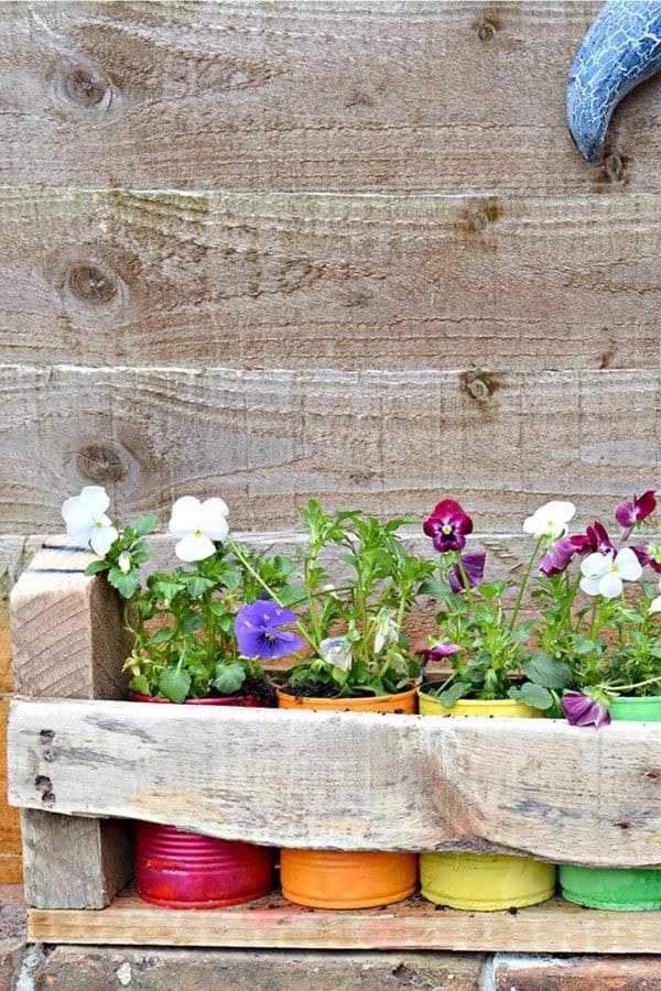 Easy To Make Colourful Tin Can Planters