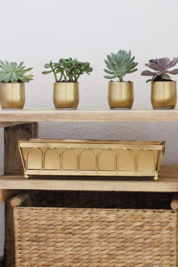 DIY GOLD SUCCULENT VASES