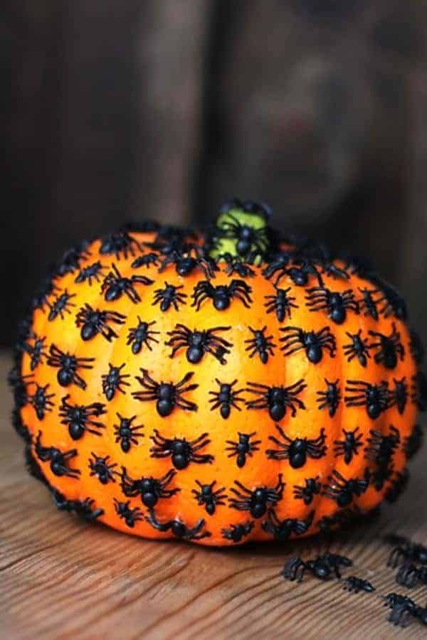 CREEPY CRAWLY SPIDER PUMPKIN