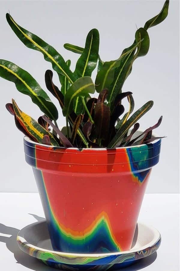 Poured Paint Potted Plant Design