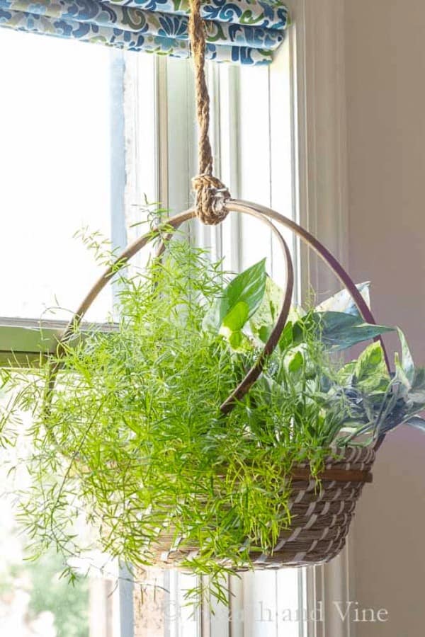 Hanging Basket Planter