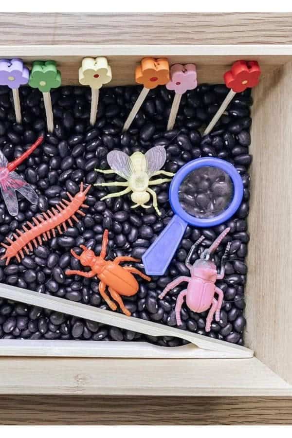 Bug Hunt Sensory Bin