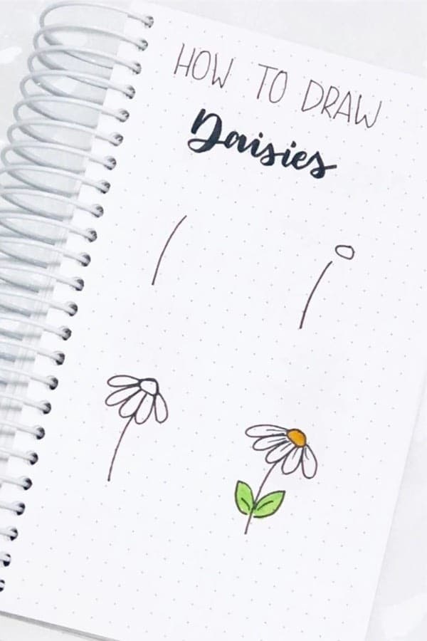 How To Draw Daisies