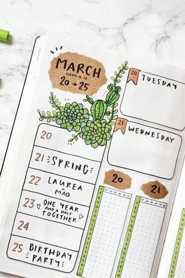 Succulent Weekly Log