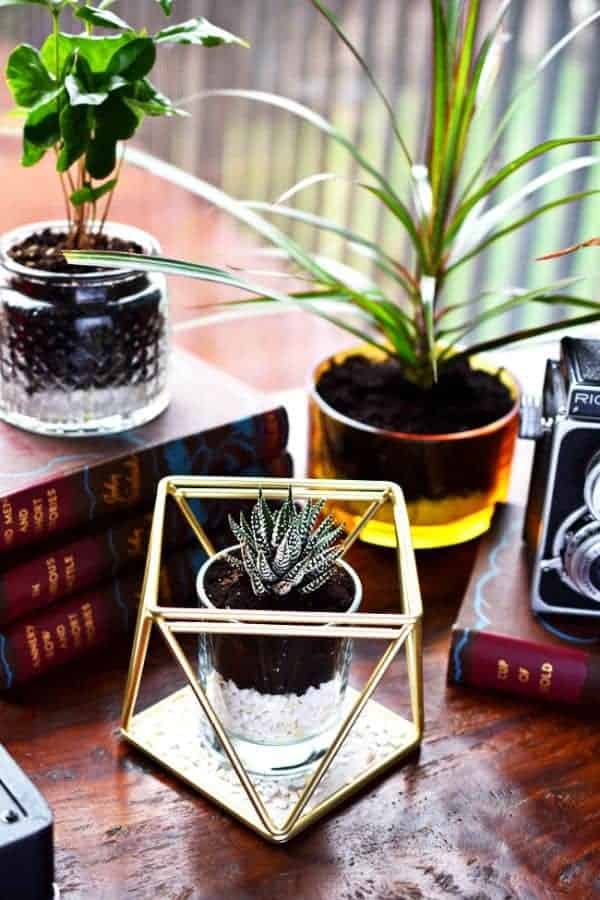 TERRARIUM CANDLE HOLDER