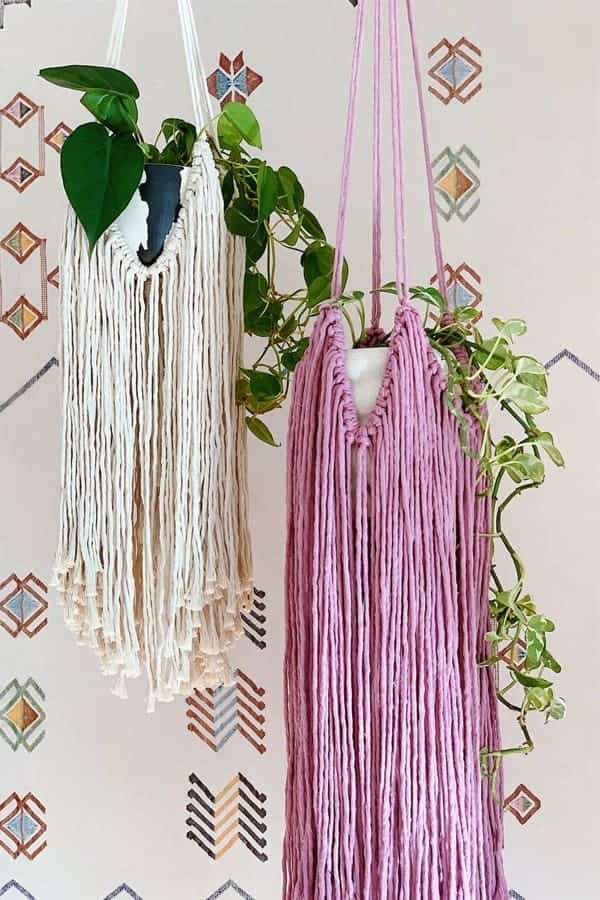 DIY Fringe Indoor Plant Hanger