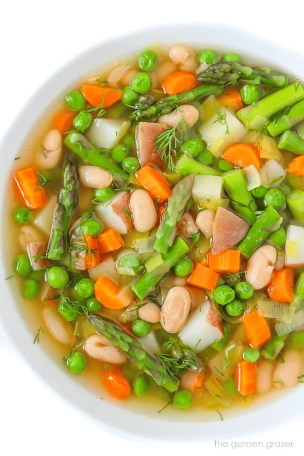 Spring Minestrone Soup