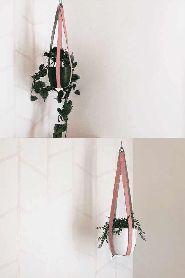 Hanging Leather Planter