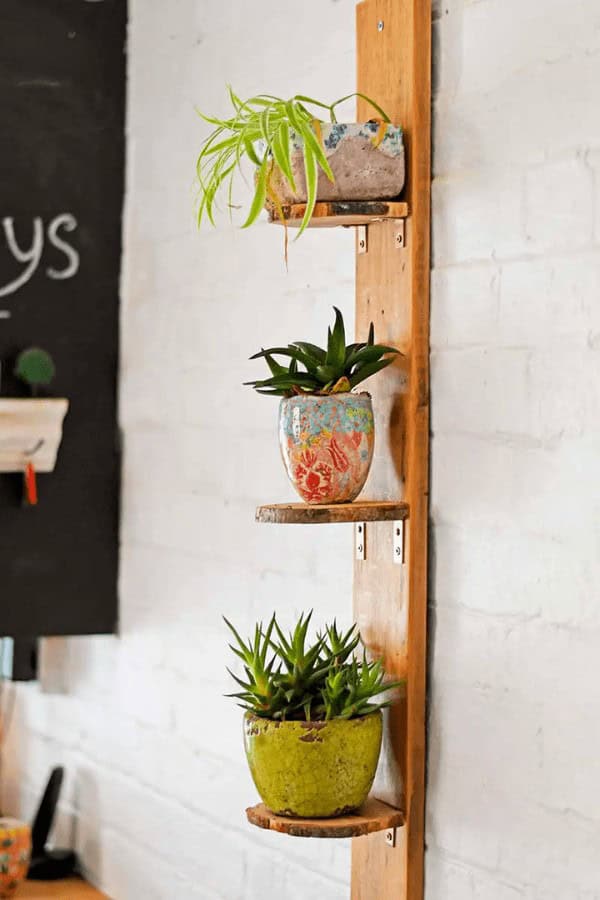 Plant Shelf using Wood Slices