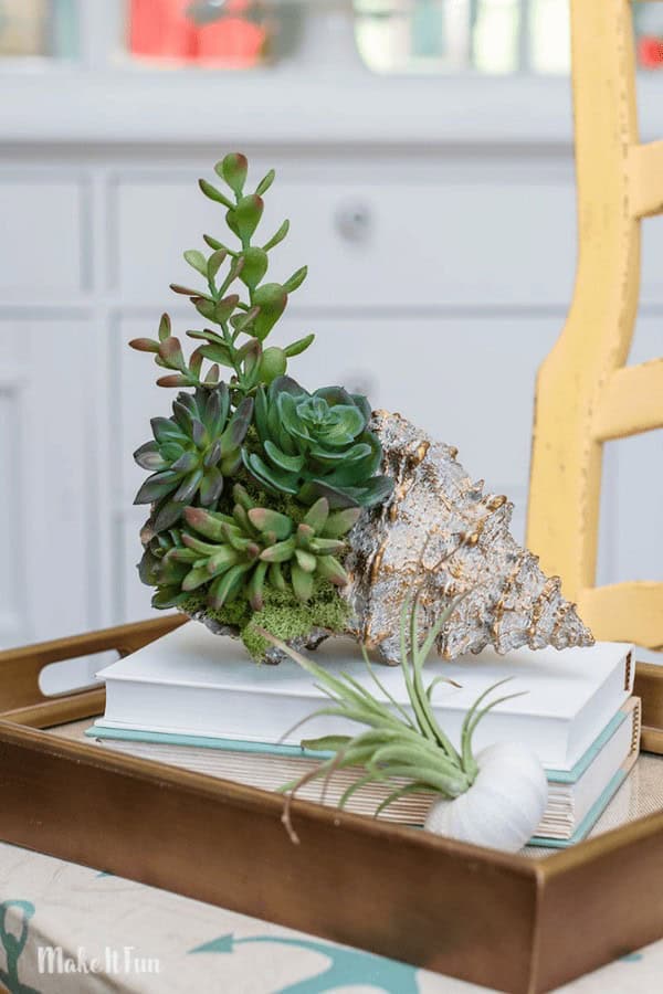 Seashell Succulent Arrangement