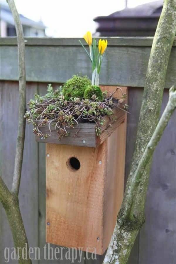 GREEN ROOF BIRDHOUSE