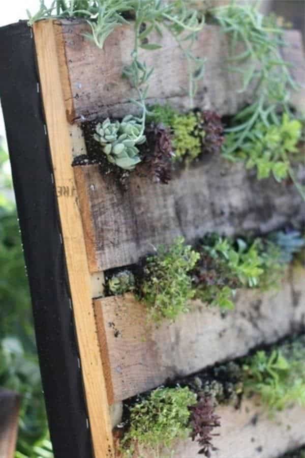 How to Turn a Pallet into an Herb Garden