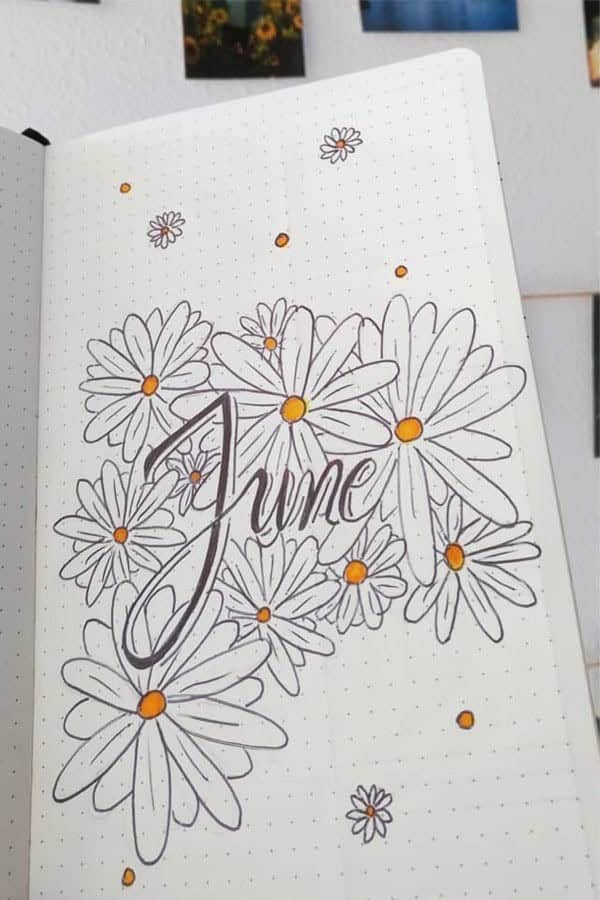 Daisy Theme Cover