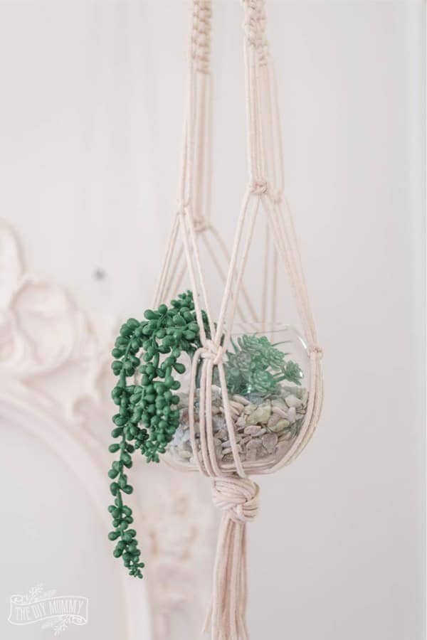 DIY Macrame Terrarium Hanger