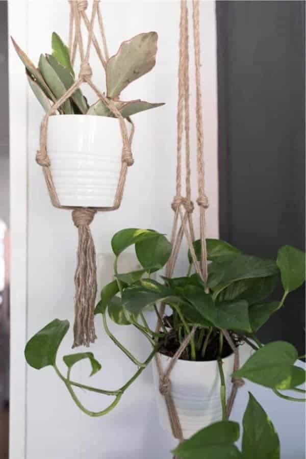 Macrame Plant Hanger DIY