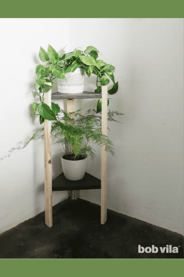 Corner Plant Shelf