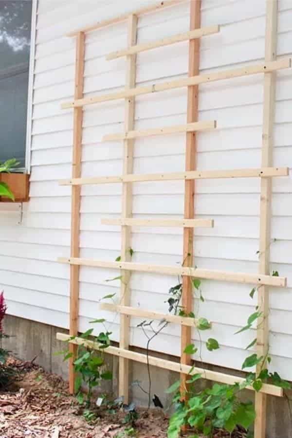 Easy DIY trellis