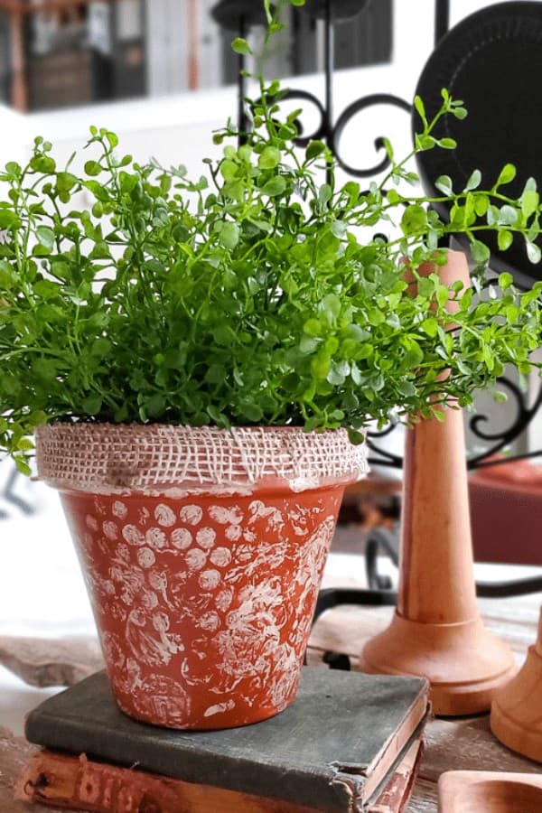 Shabby Chic Terracotta Pots