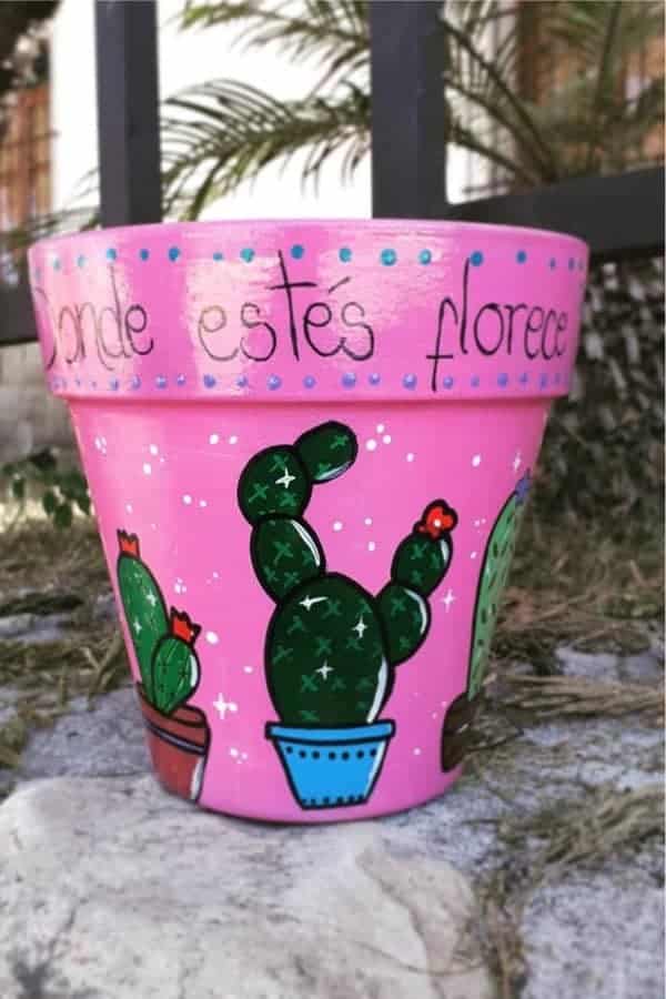 Painted Clay Pot For Cactus