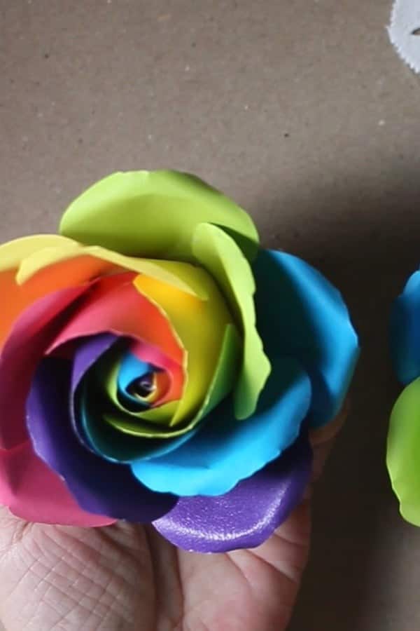 RAINBOW ROSE