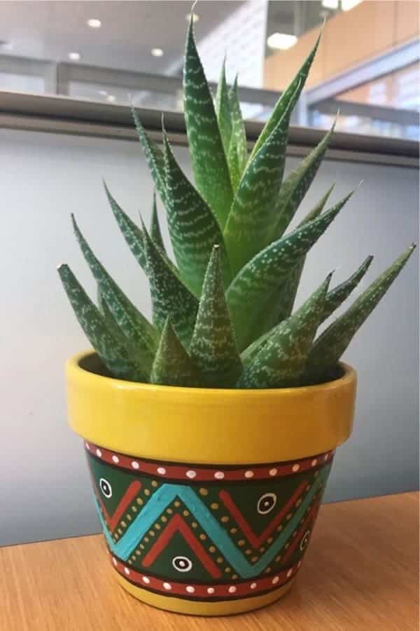 Painted Aloe Pot Inspiration