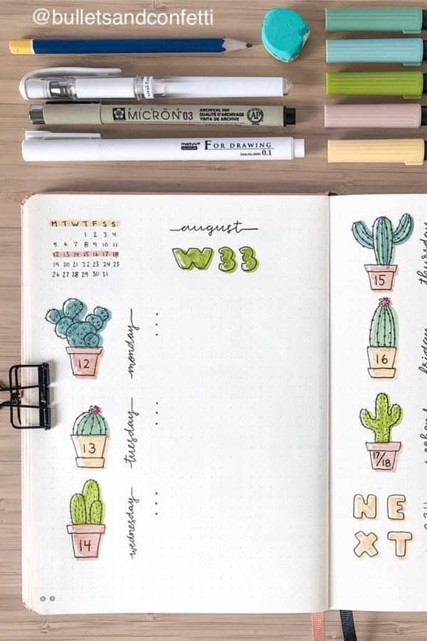 Cactus Weekly Log