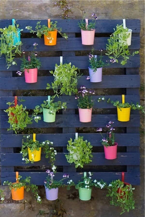 DIY Wall Garden From Painted Pallet