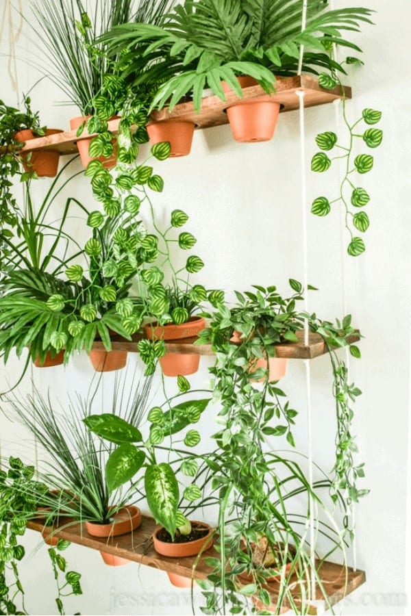 Indoor Vertical Garden