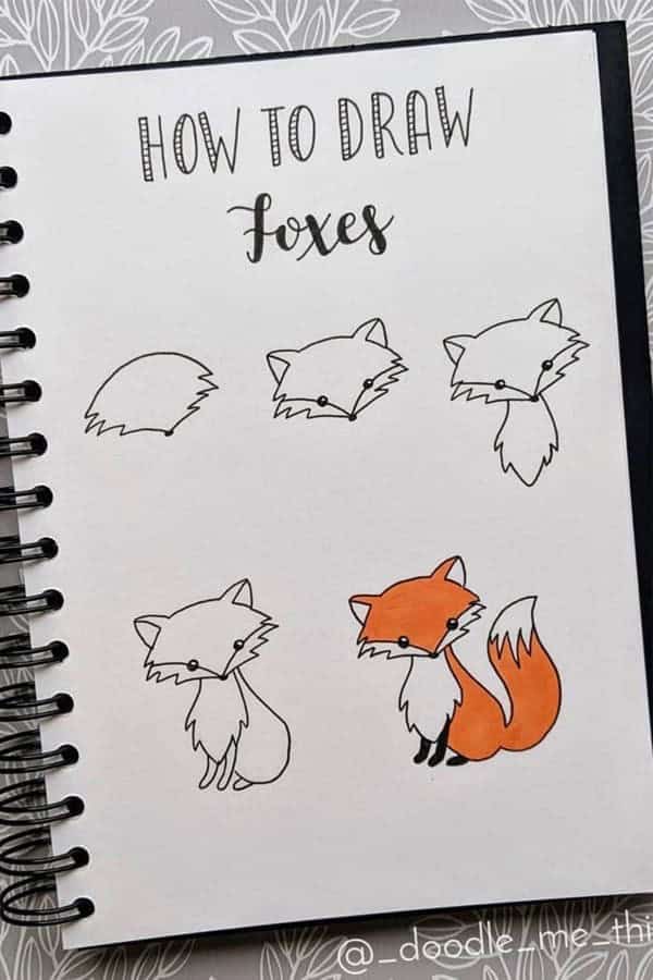 How To Draw Foxes