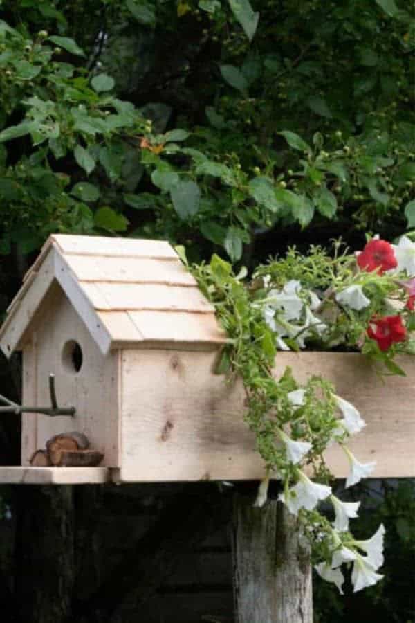 Birdhouse Planter