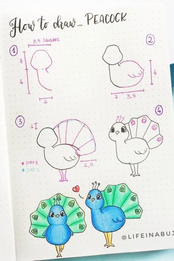 How To Draw A Peacock