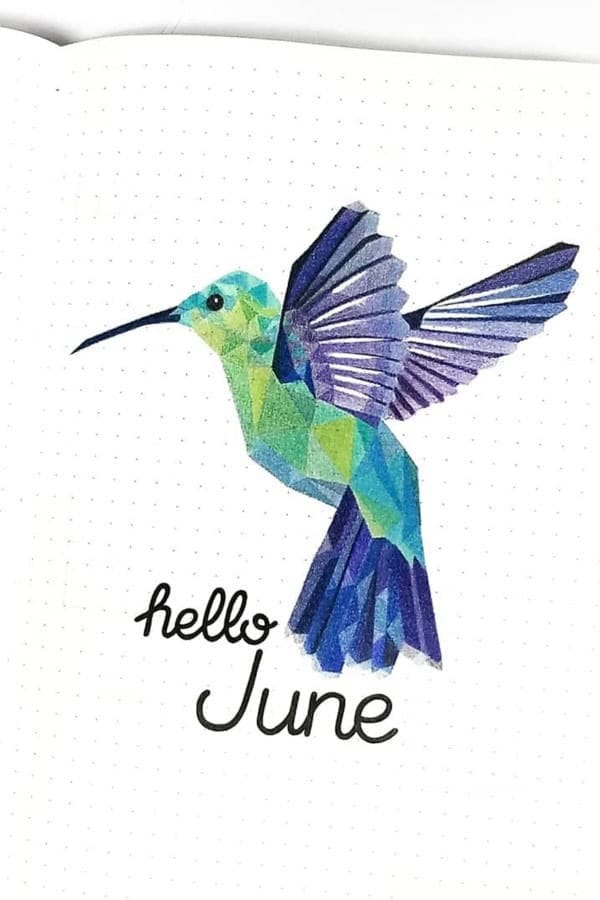 Hummingbird Cover Page