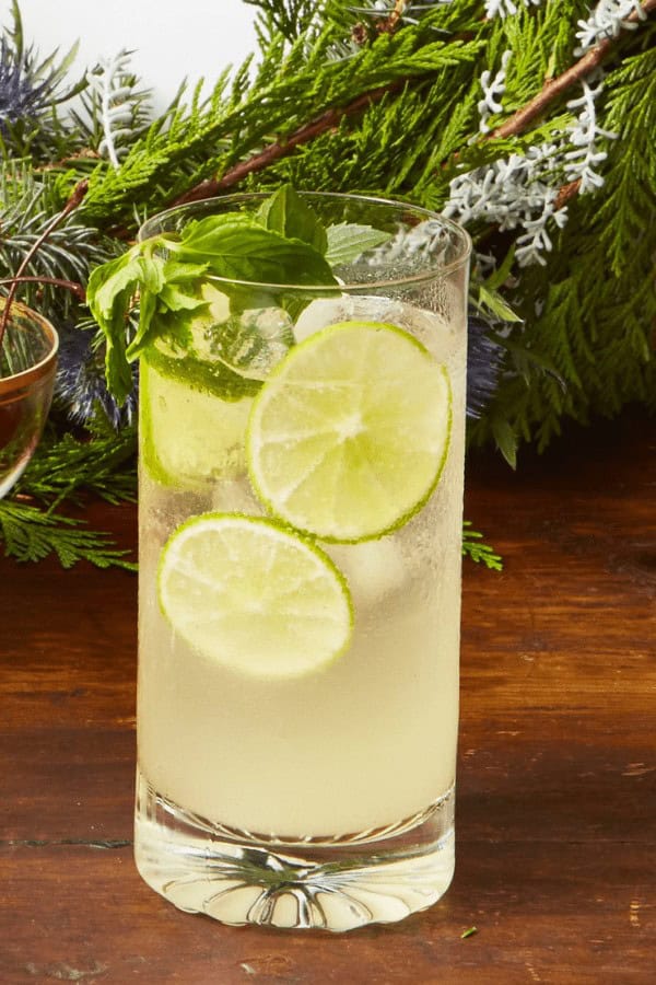 Sparkling Wine Mojito Punch