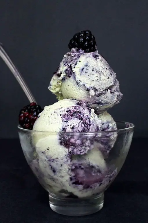Blueberry Bliss Raw Ice Cream