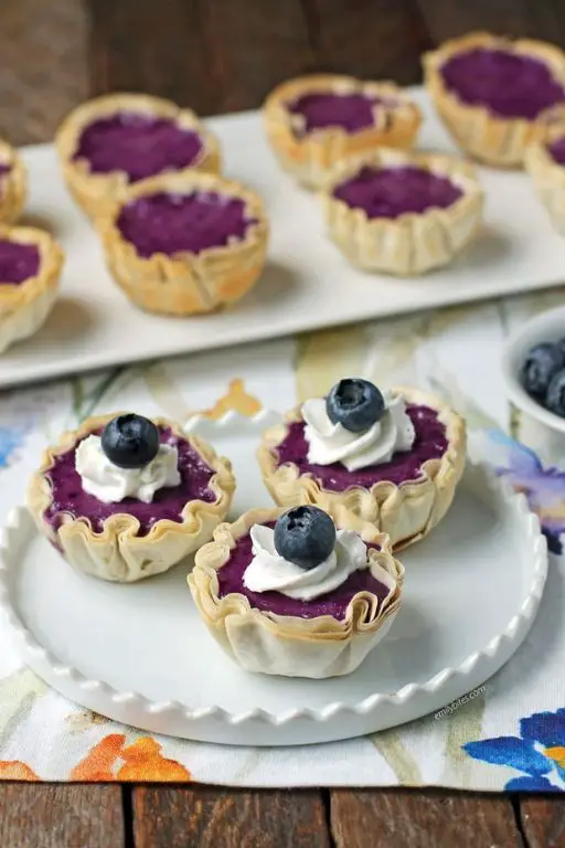 Blueberry Cheesecake Tart