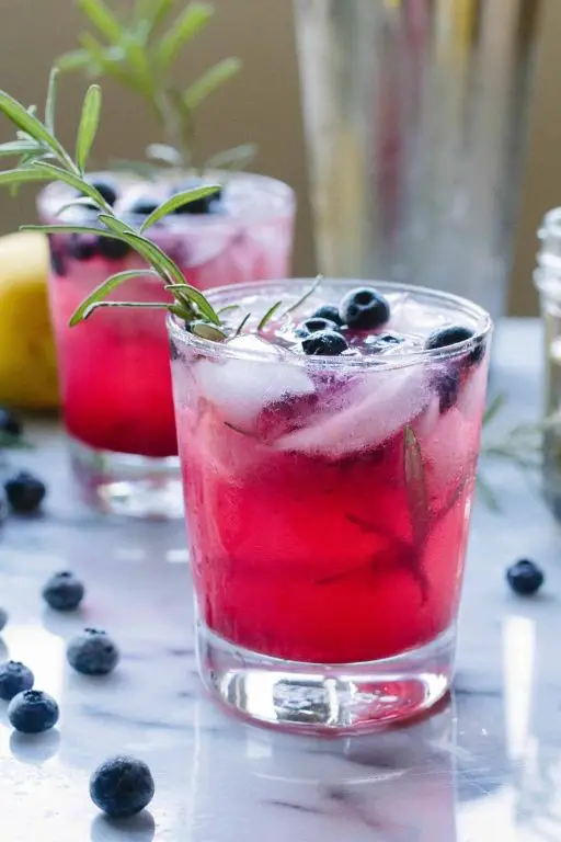 Bold Blueberry Vodka Spritzer