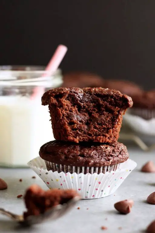 Chocolate Coconut Muffins