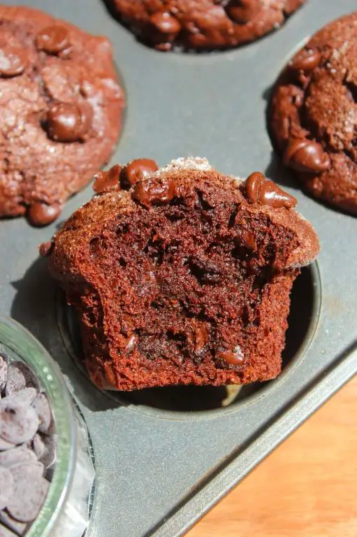 Chocolate Sour Cream Muffins