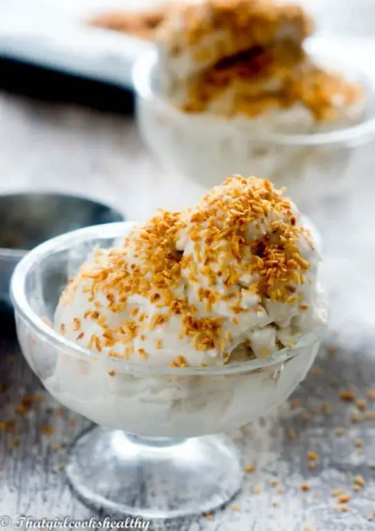 Coconut Milk Ice Cream with Toasted Coconut Flakes