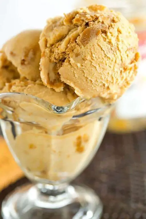 Cookie Butter Ice Cream