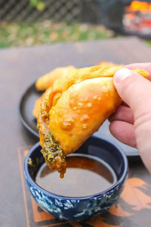 Crispy Beef Empanadas with Dipping Sauce