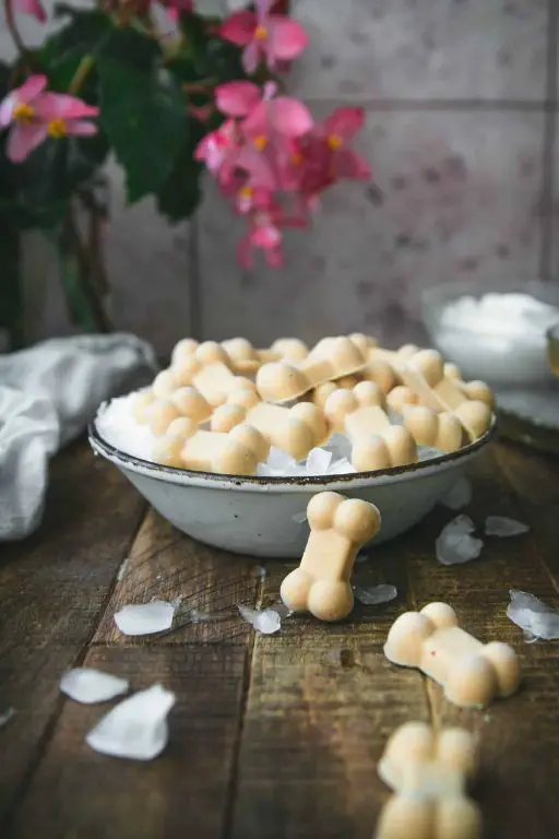 Digestive-friendly yogurt and banana recipe for dogs with upset stomachs.